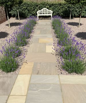 Lavender Walk- click for photo gallery